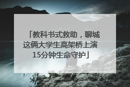 教科书式救助，聊城这俩大学生高架桥上演15分钟生命守护
